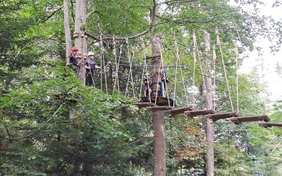 U11-Teamevent in Kressbronn: Abenteuertag im Hochseilgarten